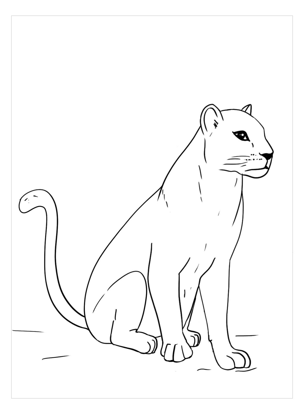 Dibujo de Pantera Sentada para Colorear