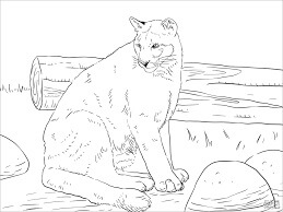 Dibujo de Pantera Simple para Colorear