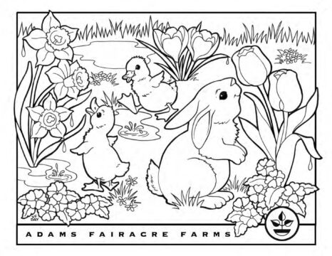 Dibujo de Pascua de Dos Patos y Conejo para Colorear