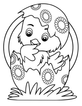 Dibujo de Pollito de Pascua para Colorear