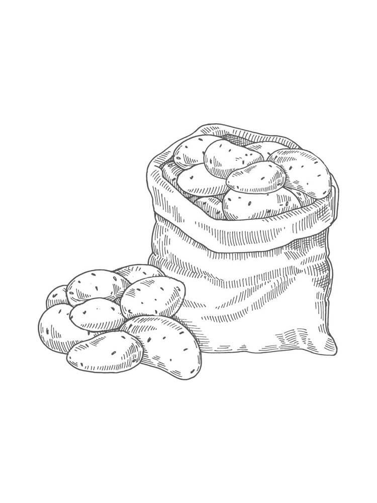 Dibujo de Sacos de Patatas para Colorear