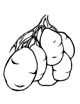 Dibujo de Seis Patatas para Colorear