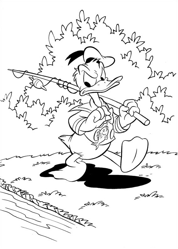Dibujo de Donald Va a Pescar para Colorear