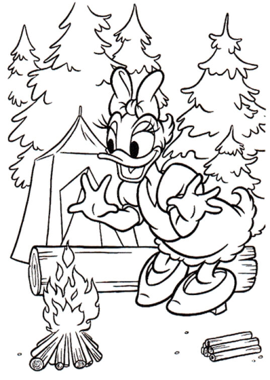 Dibujo de Camping de Daisy Duck para Colorear