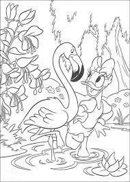 Dibujo de Pato Margarita con Flamenco para Colorear