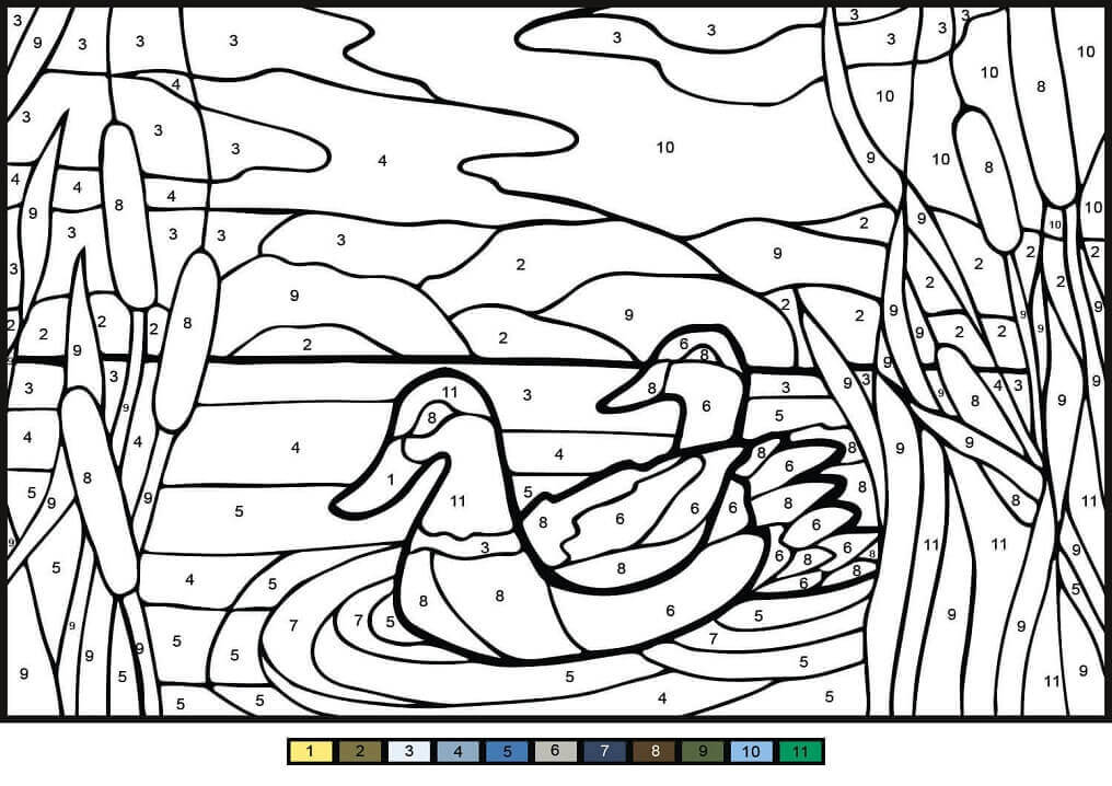 Dibujo de Color de los Patos Mullard por número para Colorear