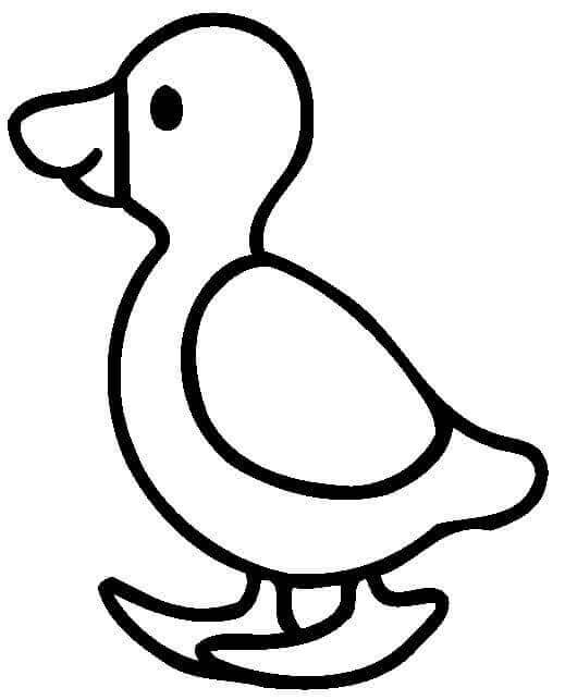 Dibujo de Patito para 1 año para Colorear