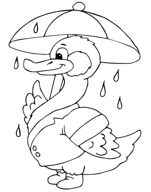 Dibujo de Pato Bajo la Lluvia para Colorear