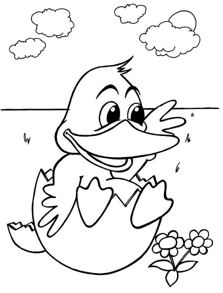 Dibujo de Pato bebé para Colorear
