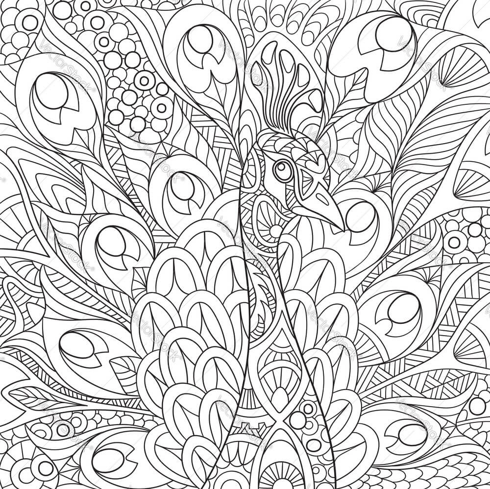 Dibujo de Cara Pavo Real Mandala para Colorear