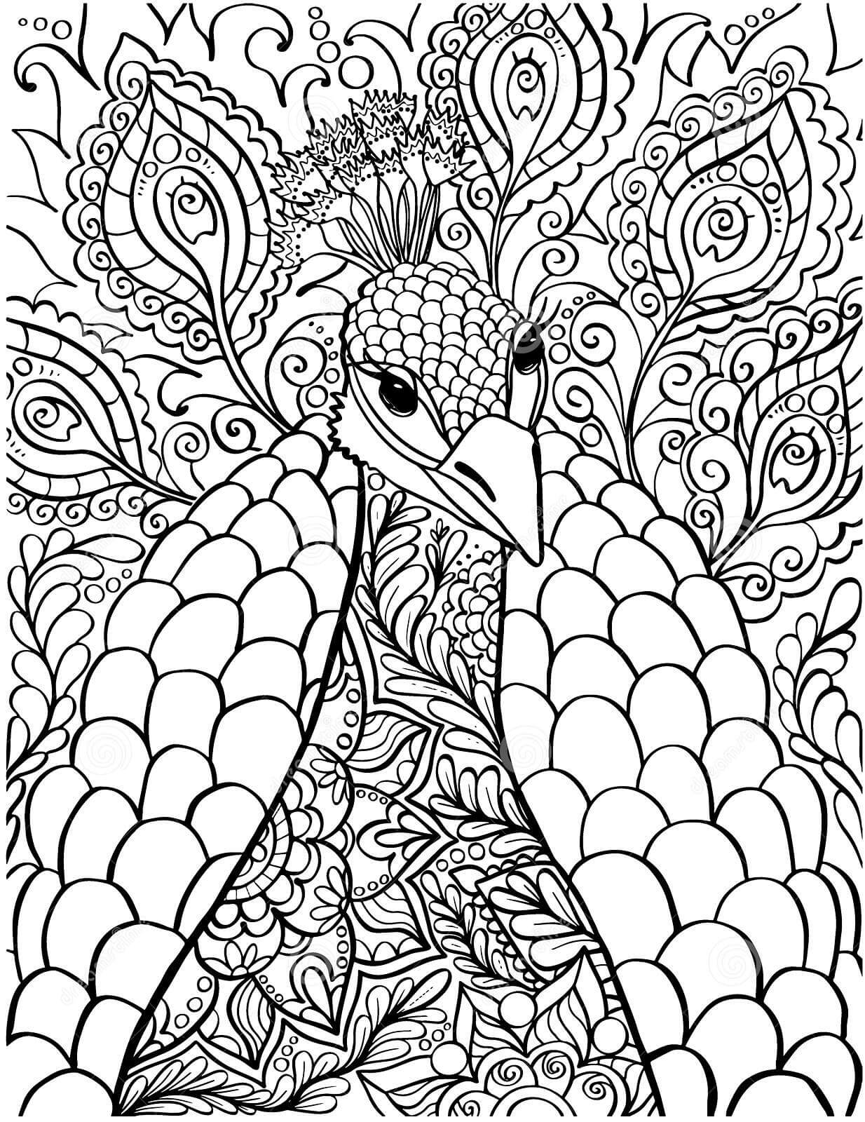 Dibujo de Cara de Pavo Real Es para Adultos para Colorear