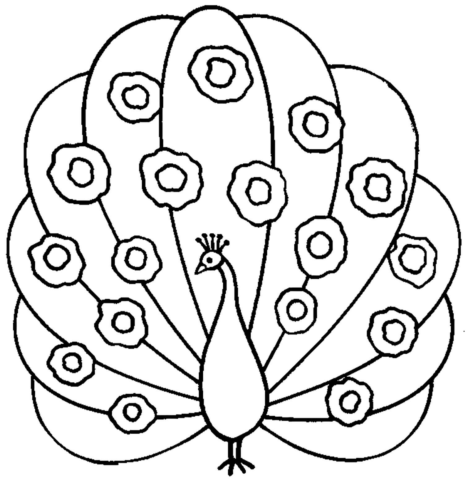 Dibujo de Pavo Real para Colorear