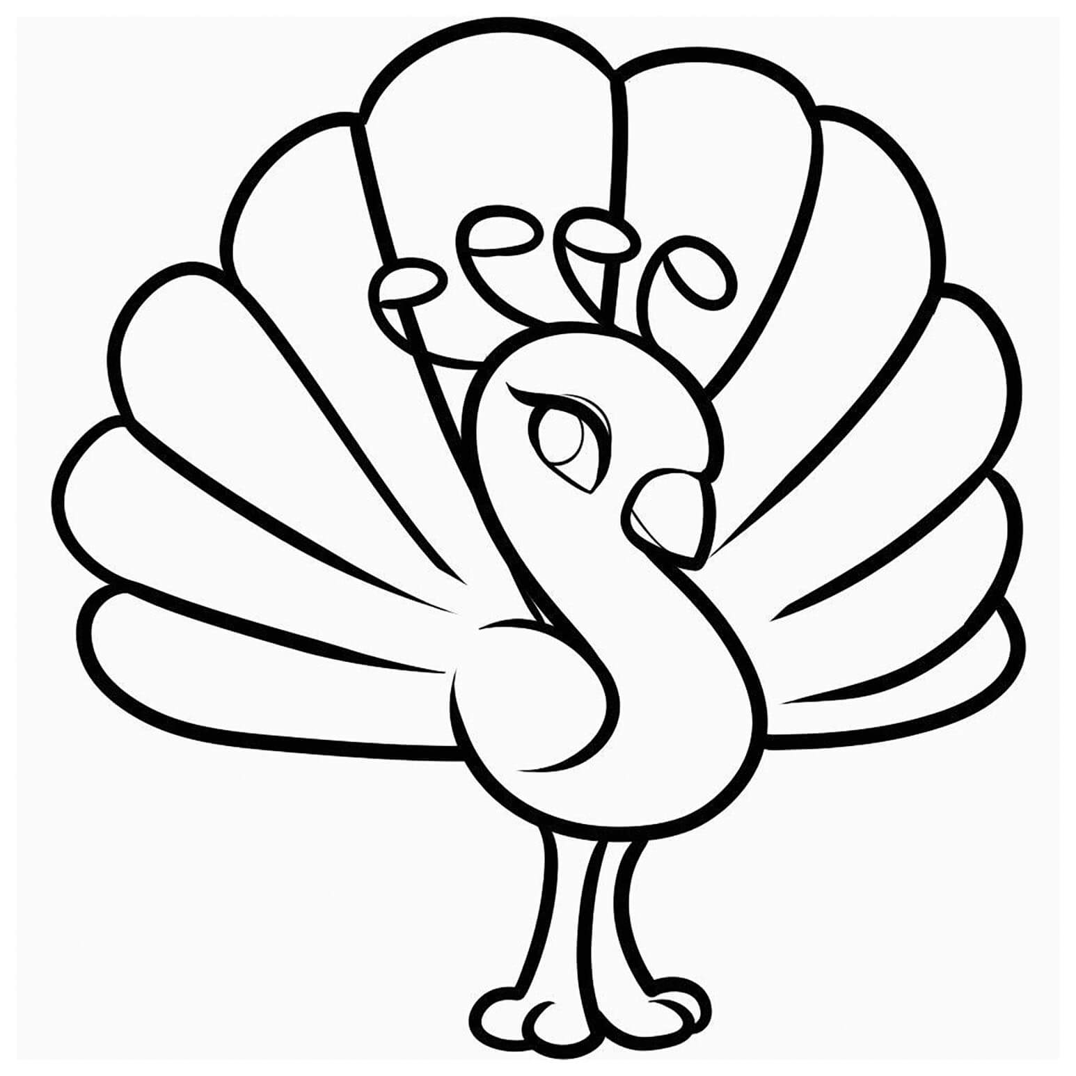 Dibujo de Lindo Pavo Real para Colorear