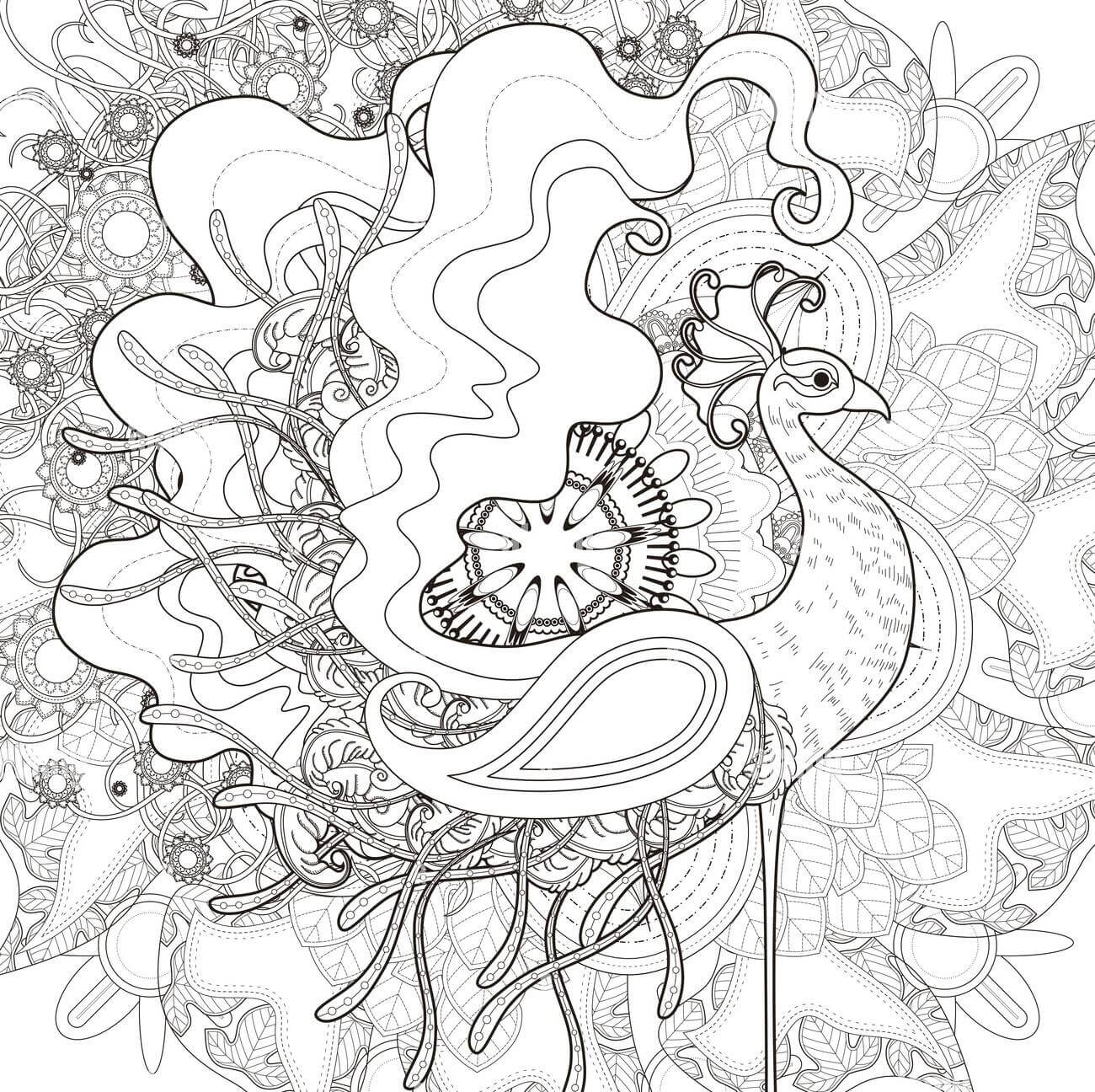 Dibujo de Pavo Real Atractivo para Colorear