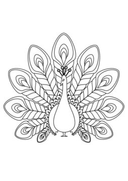 Dibujo de Pavo Real Impresionante para Colorear