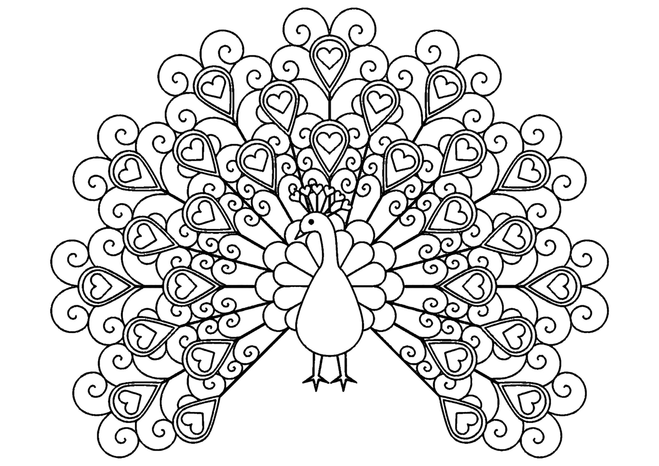 Dibujo de Pavo Real con Corazones Scaled para Colorear