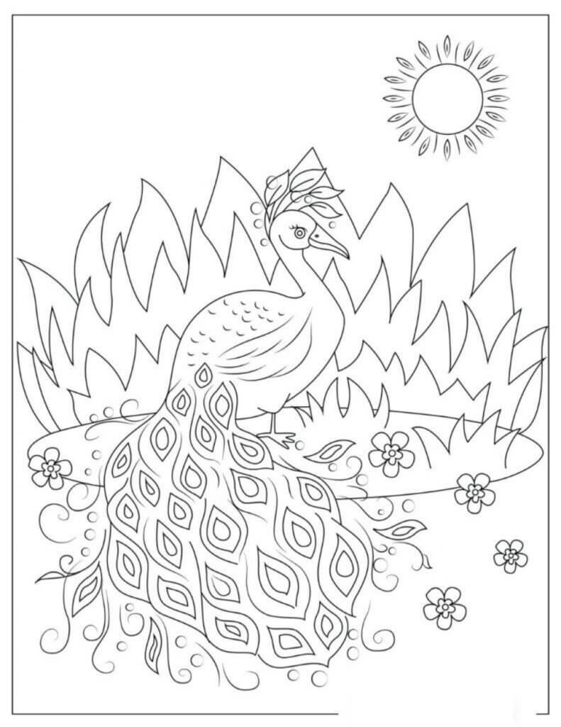 Dibujo de Pavo Real de Pie Bajo el Sol para Colorear