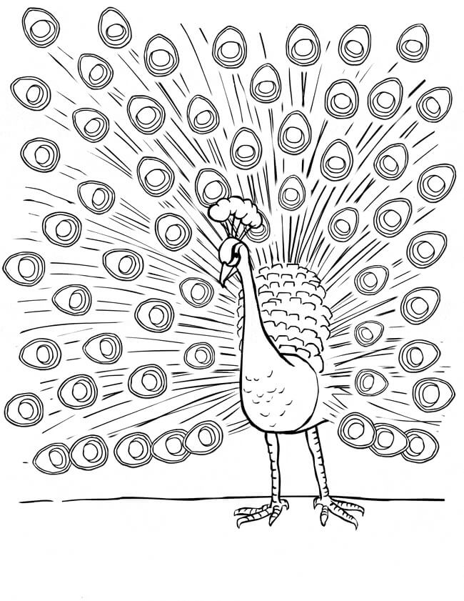 Dibujo de Pavo Real Asombroso para Colorear