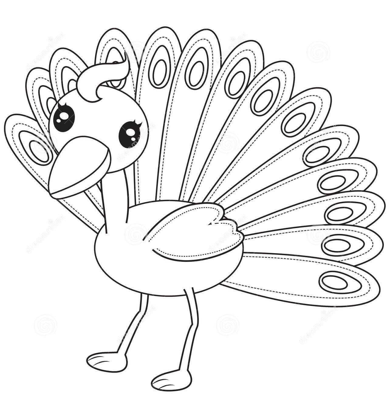 Dibujo de Pavo Real Divertido para Colorear