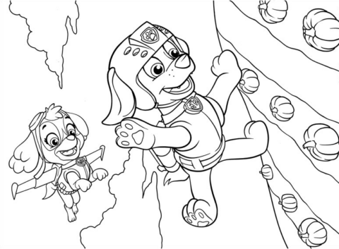 Dibujo de Rocky y Skye Volando para Colorear
