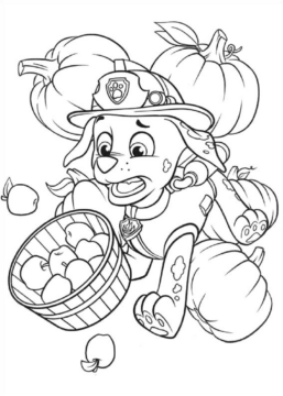 Dibujo de Rocoso con Calabazas y Manzanas para Colorear