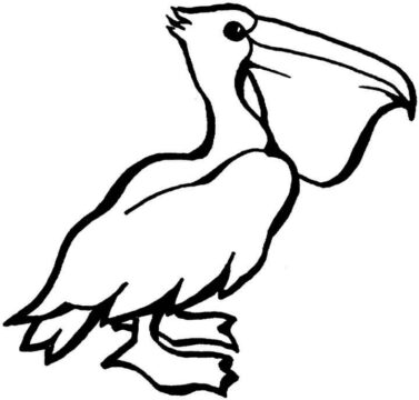 Dibujo de Pelican Dibujo para Colorear
