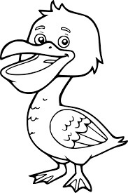 Dibujo de Pelican Volando para Colorear