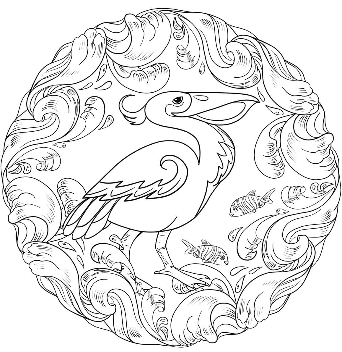 Dibujo de Pelican Es para Adultos para Colorear