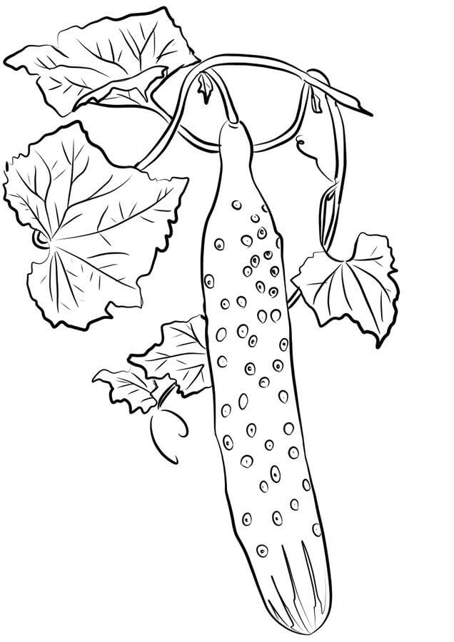 Dibujo de Pepino Alto para Colorear