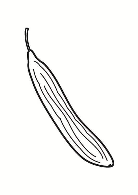 Dibujo de Pepino Largo para Colorear