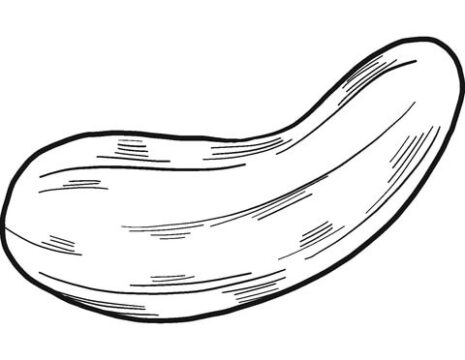 Dibujo de Pepino Simples para Colorear