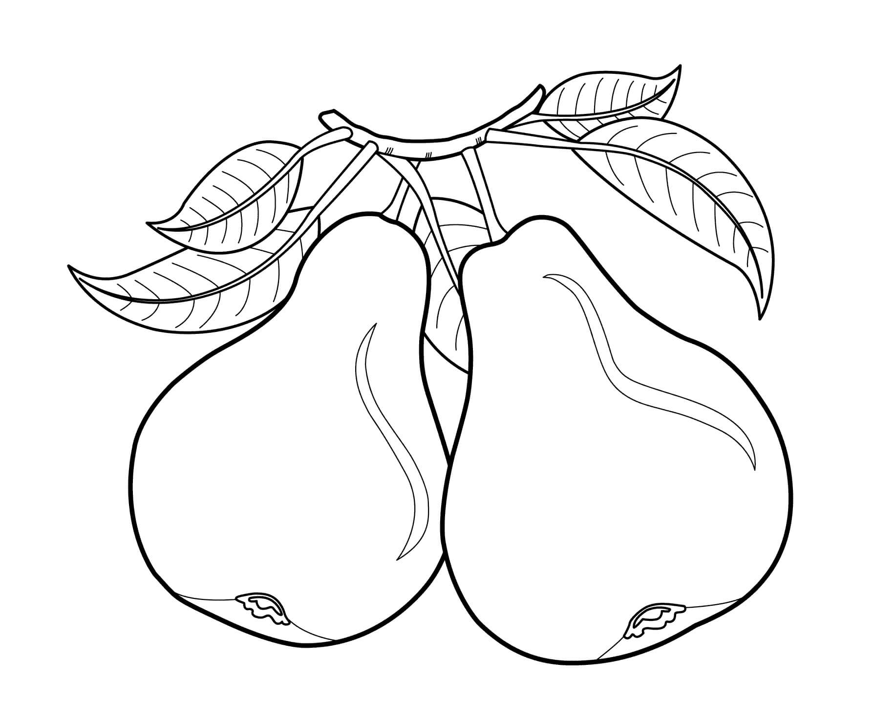 Dibujo de Dos Peras para Colorear