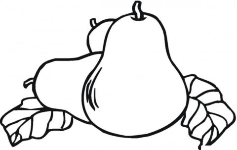 Dibujo de Tres Peras 1 para Colorear