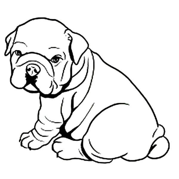 Dibujo de Cachorro Bulldog Gordo para Colorear