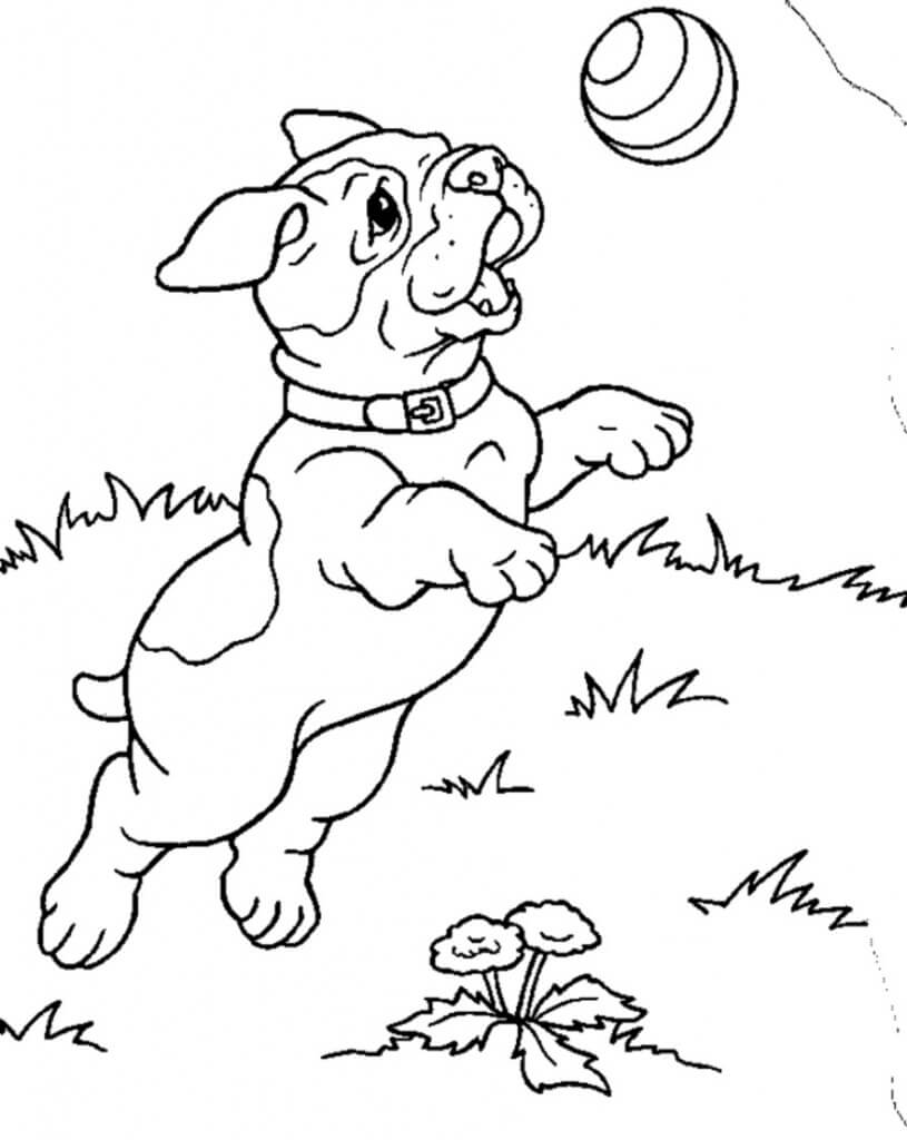Dibujo de Cachorro de Insecto para Colorear