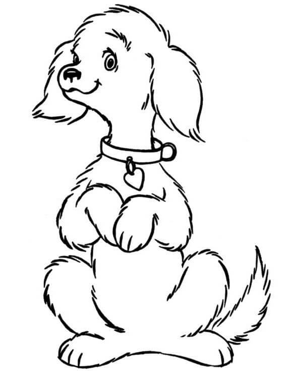 Dibujo de Cachorro Feliz para Colorear