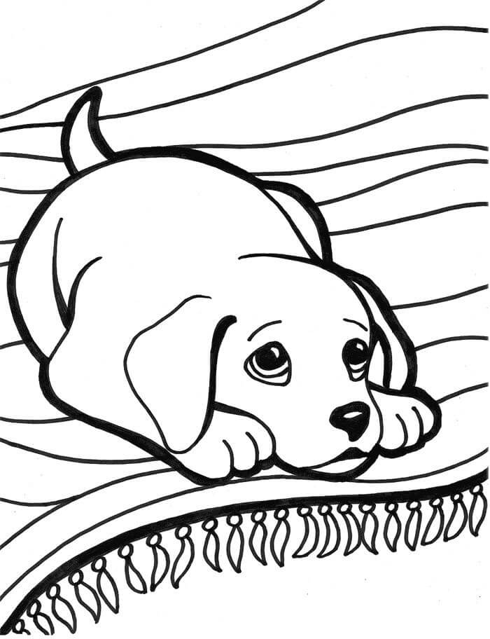 Dibujo de Cachorro Triste para Colorear