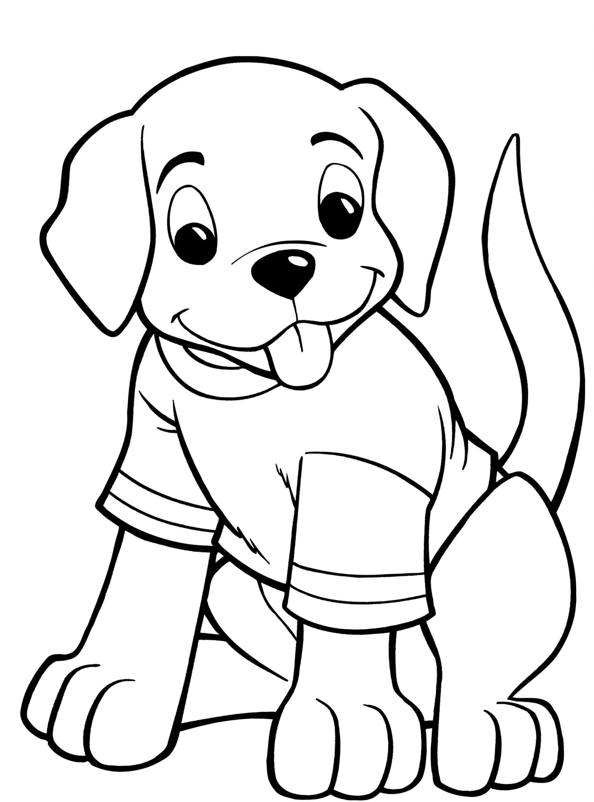 Dibujo de Cachorro con Camiseta para Colorear
