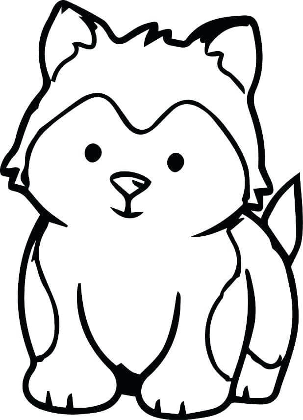 Dibujo de Cachorro Husky para Colorear