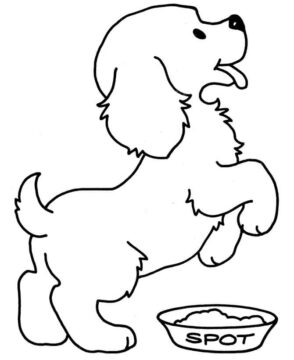Dibujo de Cachorro y Comida para Colorear