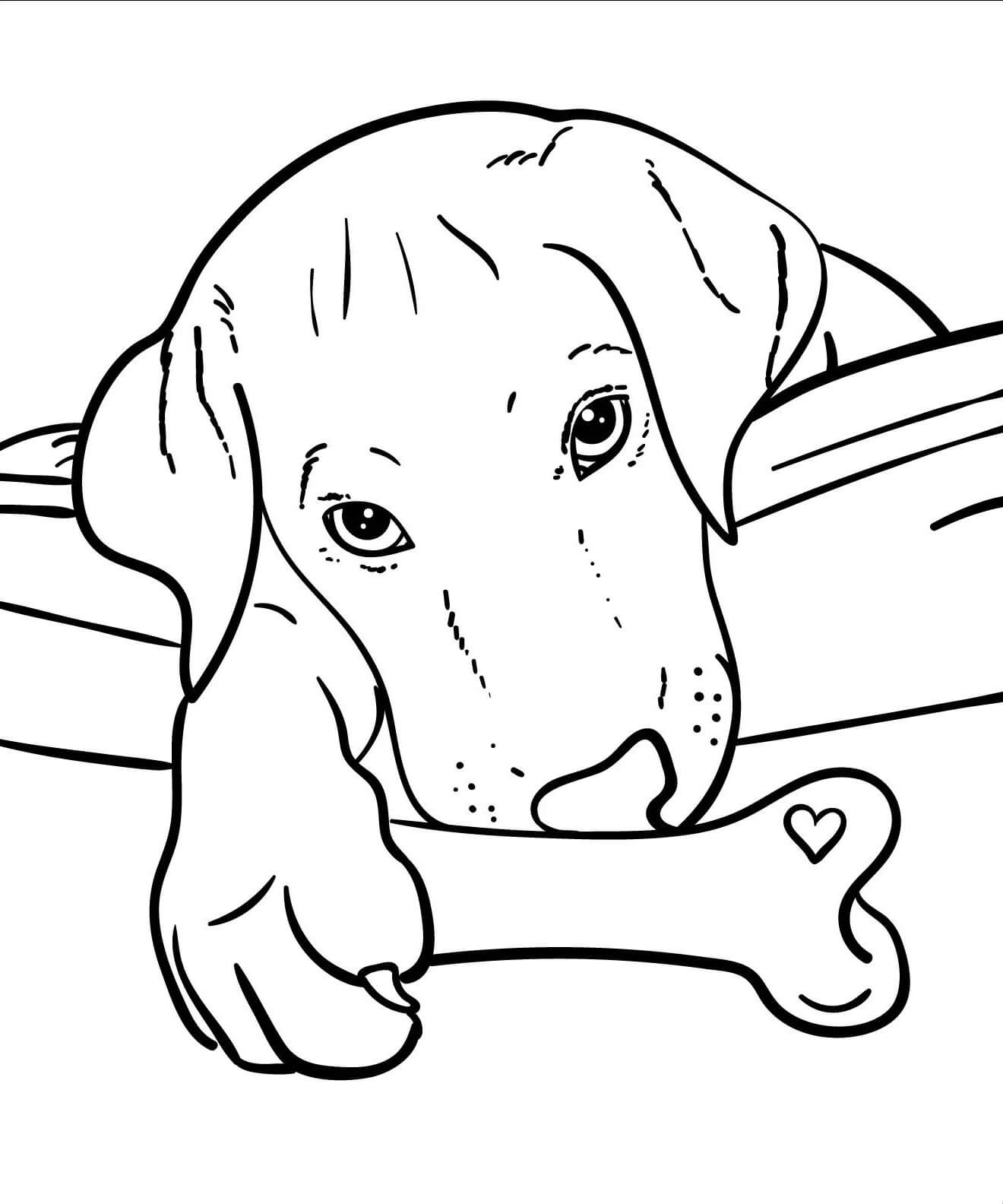 Dibujo de Perro con Hueso para Colorear