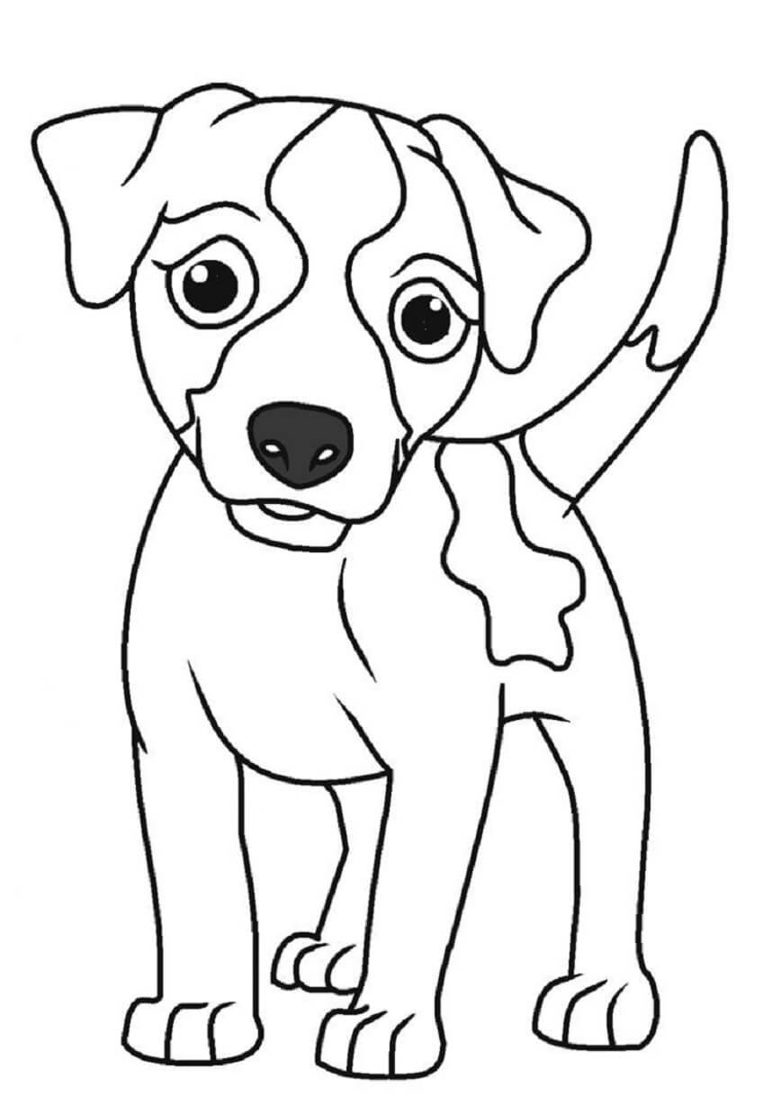 Dibujo de Perro básico para Colorear