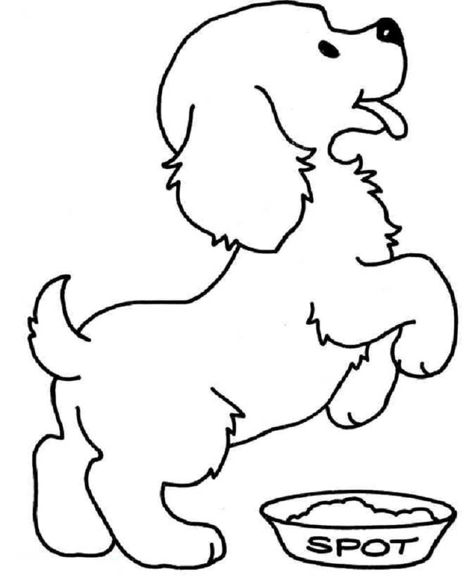 Dibujo de Perro Caniche Feliz para Colorear