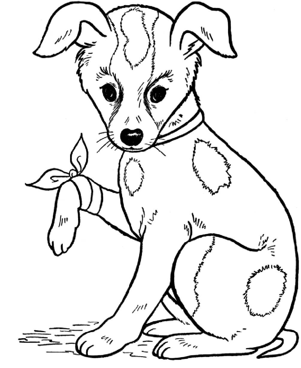 Dibujo de Perro con Arco para Colorear
