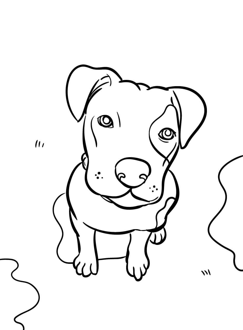 Dibujo de Perro Grande para Colorear