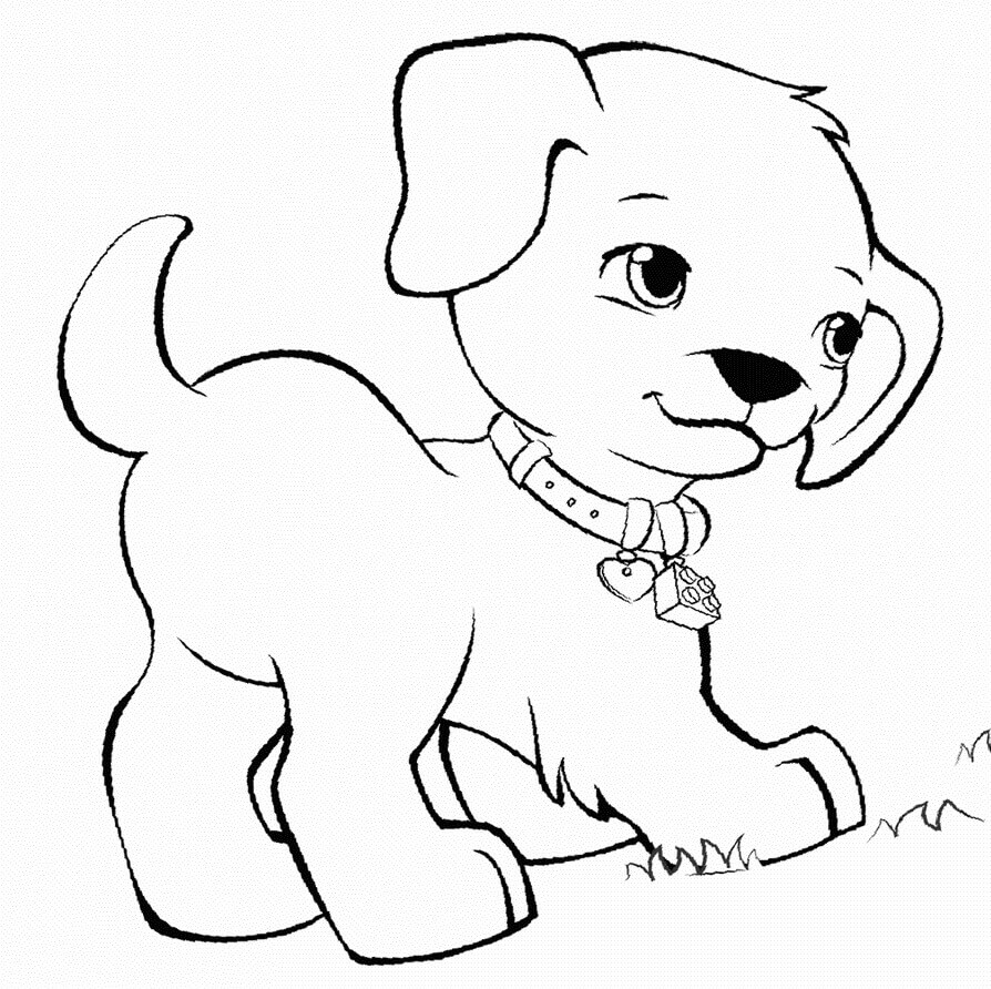 Dibujo de Perro Mascota para Colorear