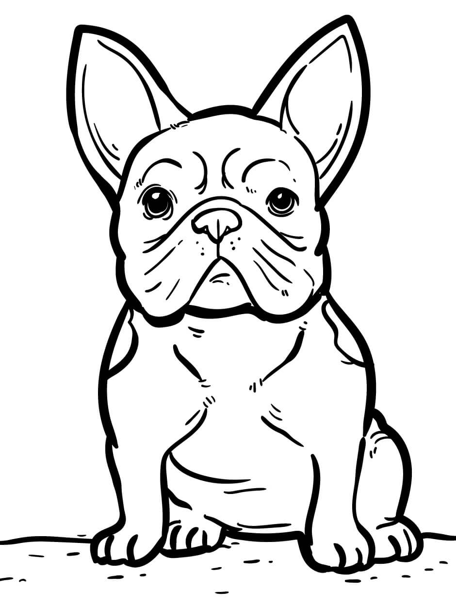 Dibujo de Perro Pug Sentado para Colorear