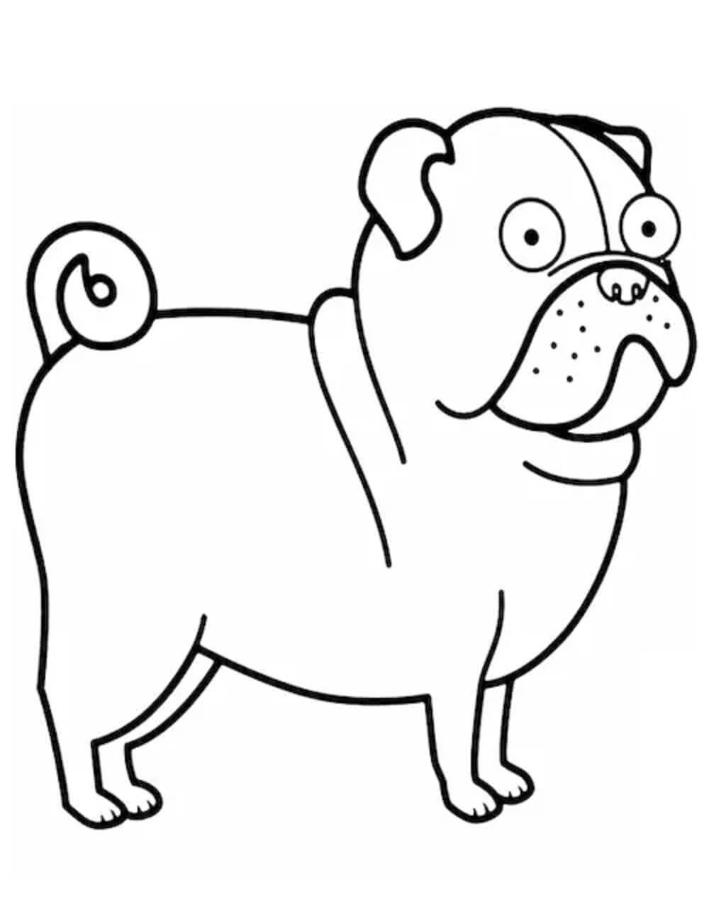 Dibujo de Perro Pug para Colorear