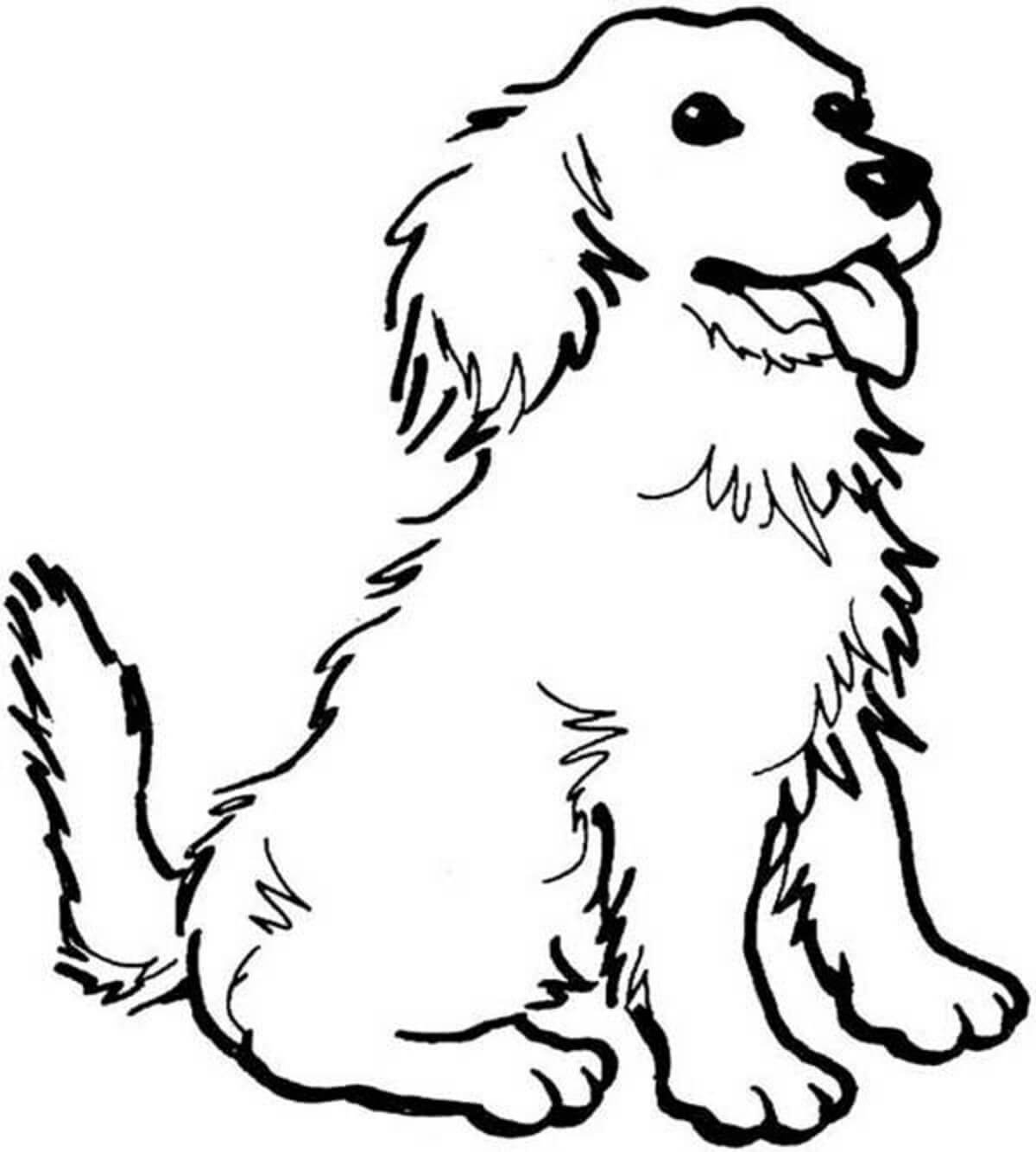 Dibujo de Perro Sentado para Colorear