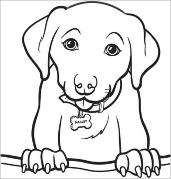 Dibujo de Retrato de Perro para Colorear